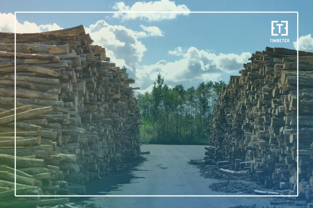 Crecimiento del mercado forestal global: qué está impulsando la demanda de madera en 2026 — y por qué la medición precisa importa
