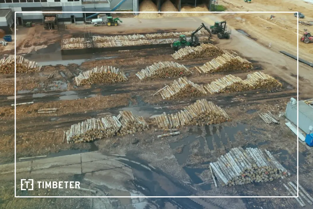 Nordic forest industry results 2025 show why measurement discipline now defines margins