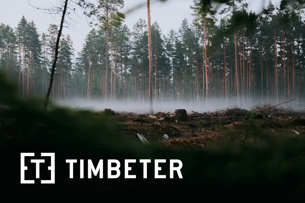 Eesti ettevõte Timbeter võitleb tehisintellekti abil ebaseadusliku raadamisega