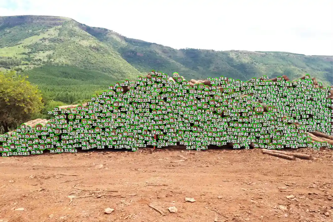 Percepções do setor florestal na África do Sul