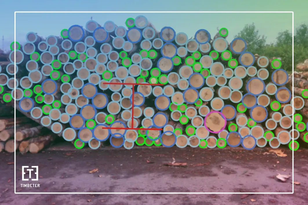 Diameter profiles: sorting timber assortments by design