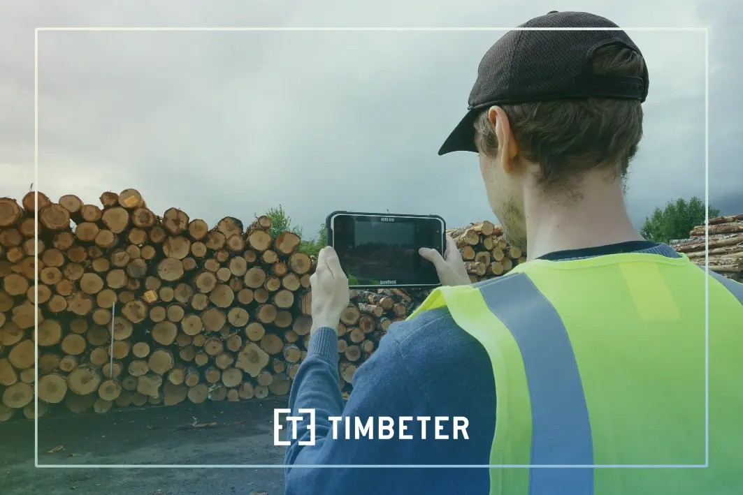 Why Timbeter is a Game-Changer for Timber Measurement: Insights from Our Clients