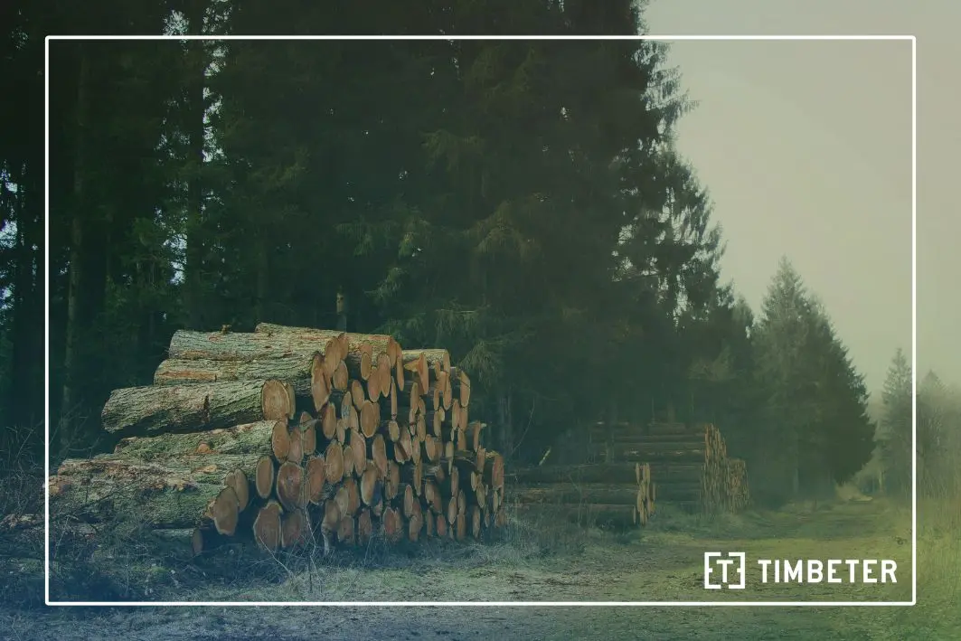 EU Bioeconomy needs more wood—and better measurement