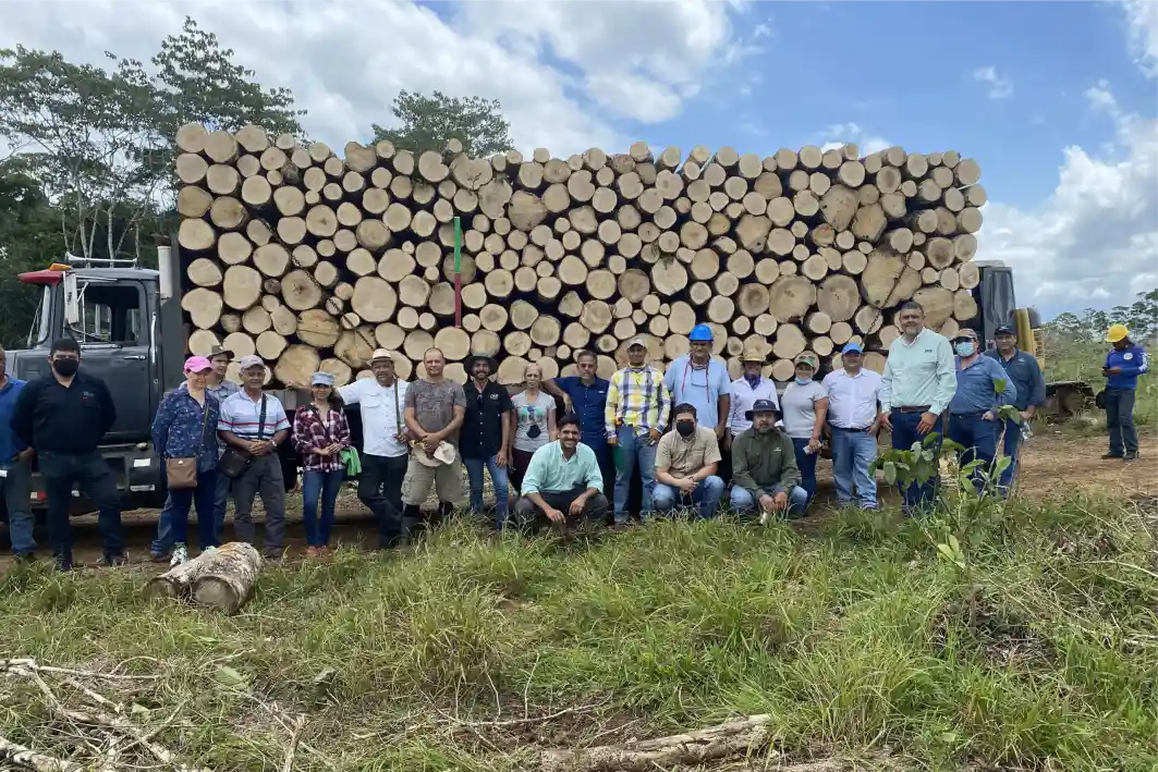 Project “Implementing Timbeter’s technology for the efficient forestry management in Costa Rica”