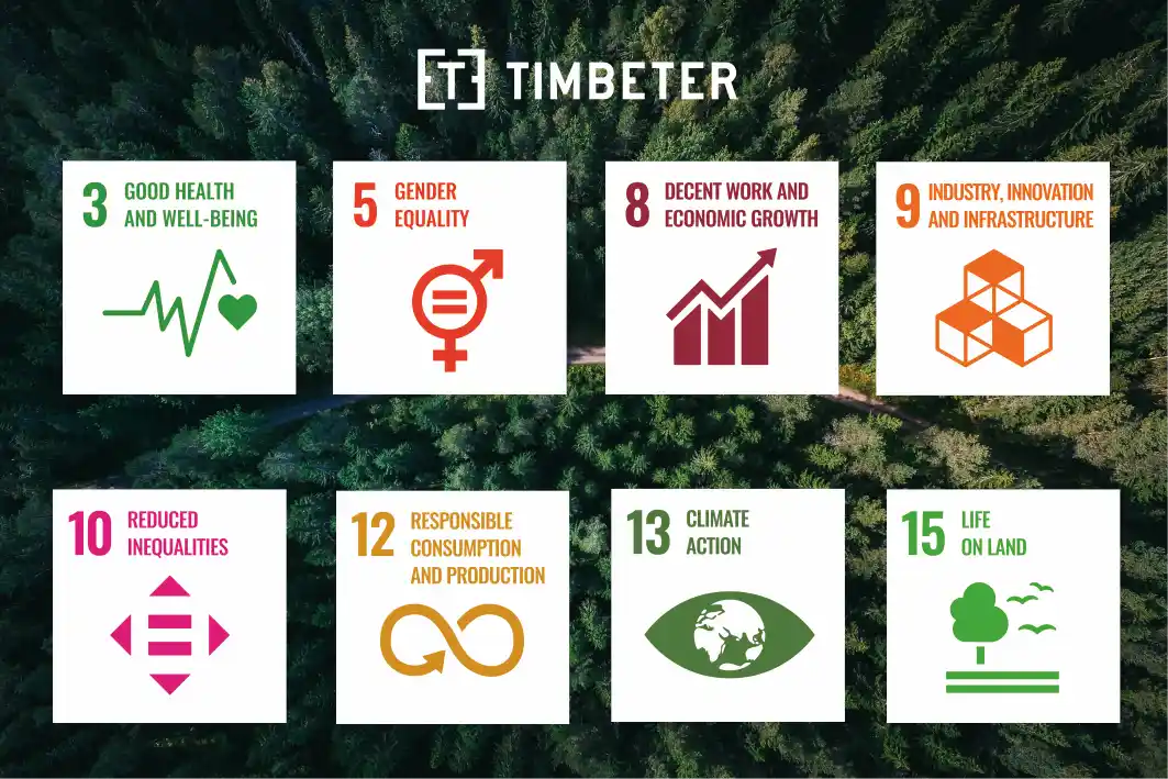 As contribuições da Timbeter para alcançar os Objetivos de Desenvolvimento Sustentável (ODS) no setor florestal