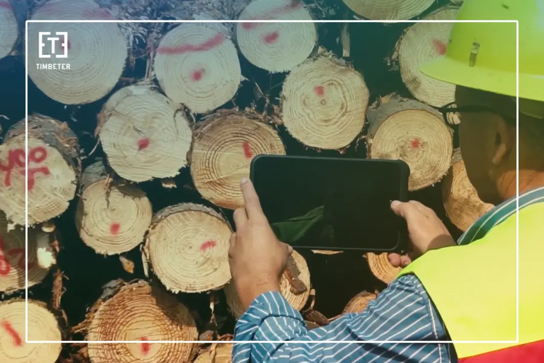 How CMPC Chile scaled digital timber measurement nationwide