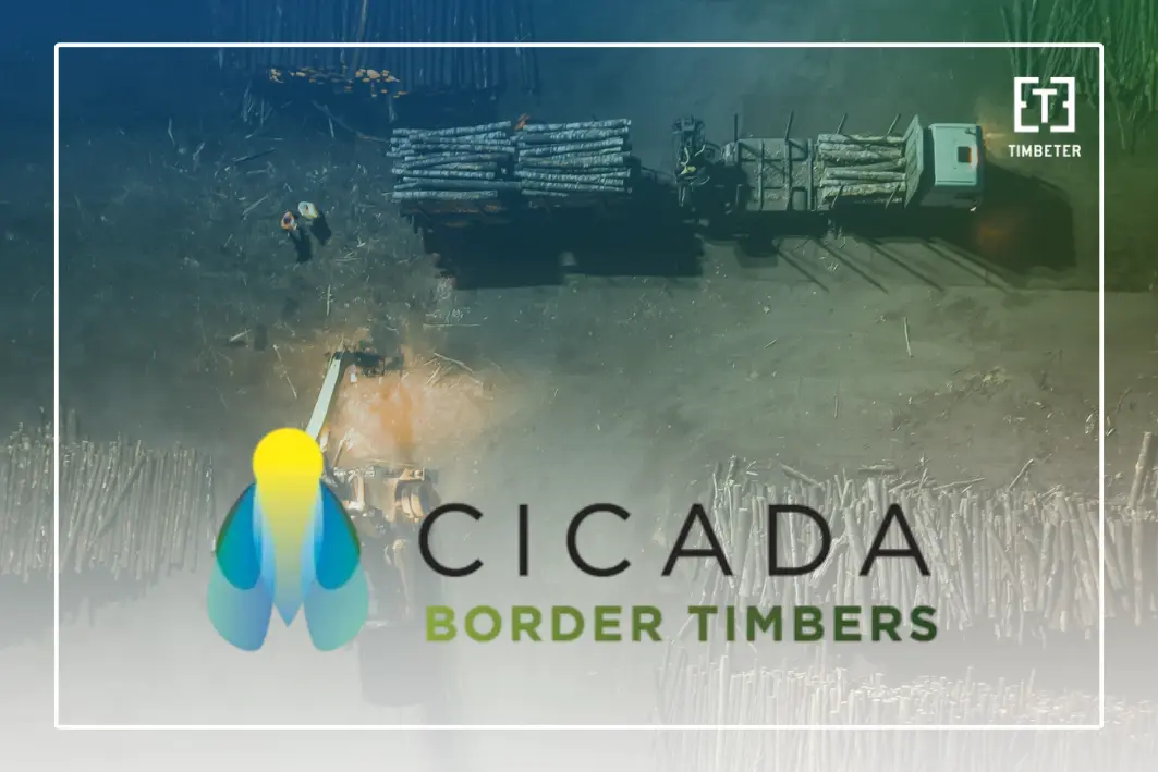 Why weighbridge tonnage fails timber sales: Border Timbers