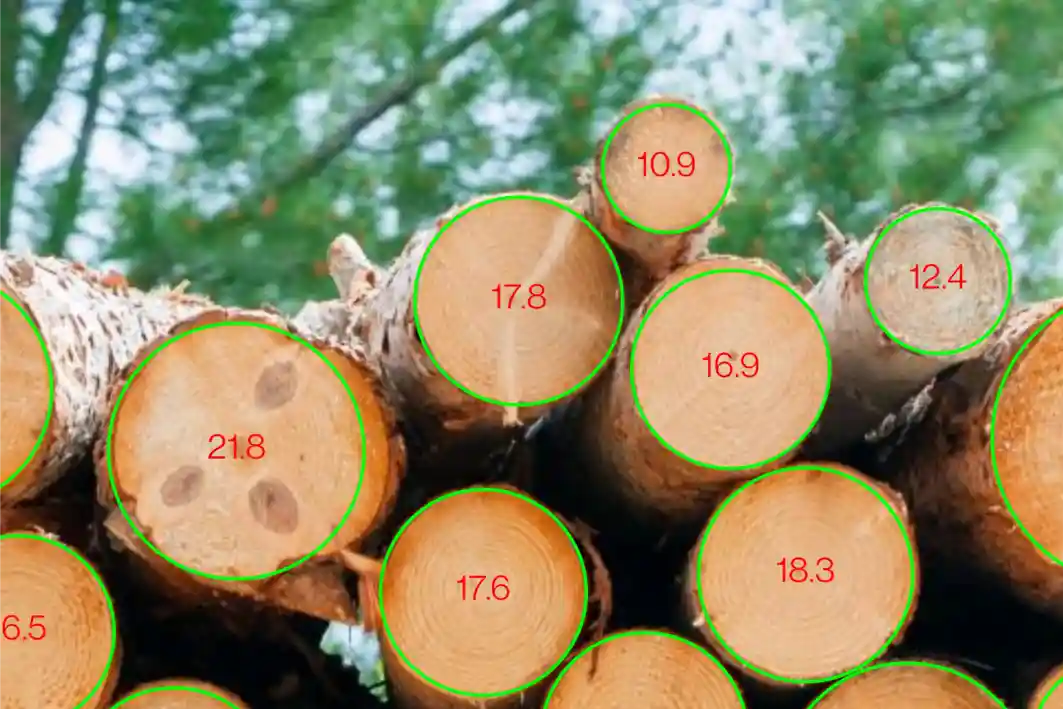 What are Timbeter features and how they bring benefits to the forestry industry