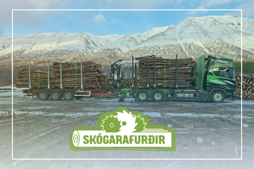 Timbeter expands to Iceland: Welcoming Skógarafurðir as our first Icelandic client​
