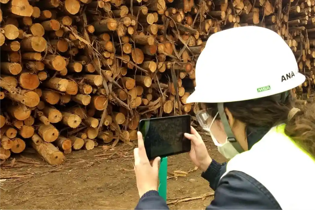 Timbeter accuracy for measuring eucalyptus logs and piles using mobile device