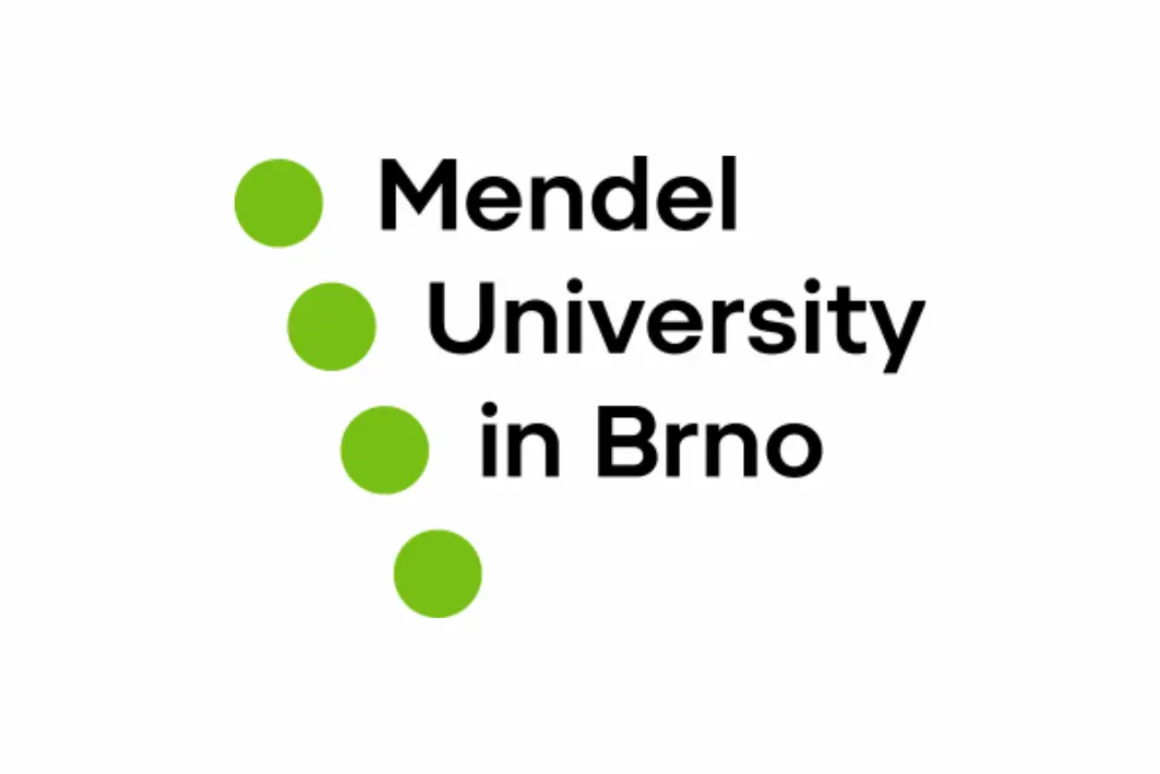 Timbeter e Universidade Mendel: pioneirismo na silvicultura sustentável por meio de inovação e pesquisa