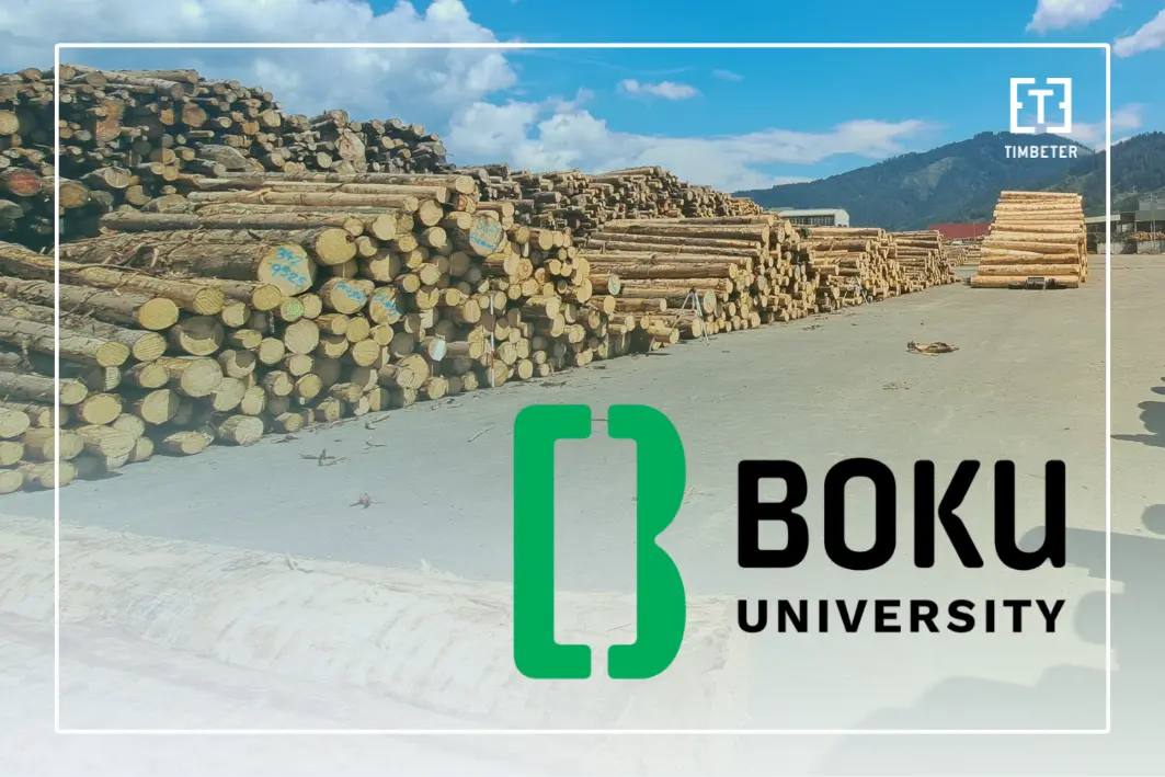 Estudio de la Universidad BOKU (Austria): Timbeter ayuda a los propietarios forestales a verificar las mediciones de los aserraderos