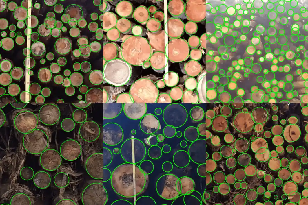 Detecting logs with artificial neural networks. How hard can it be?