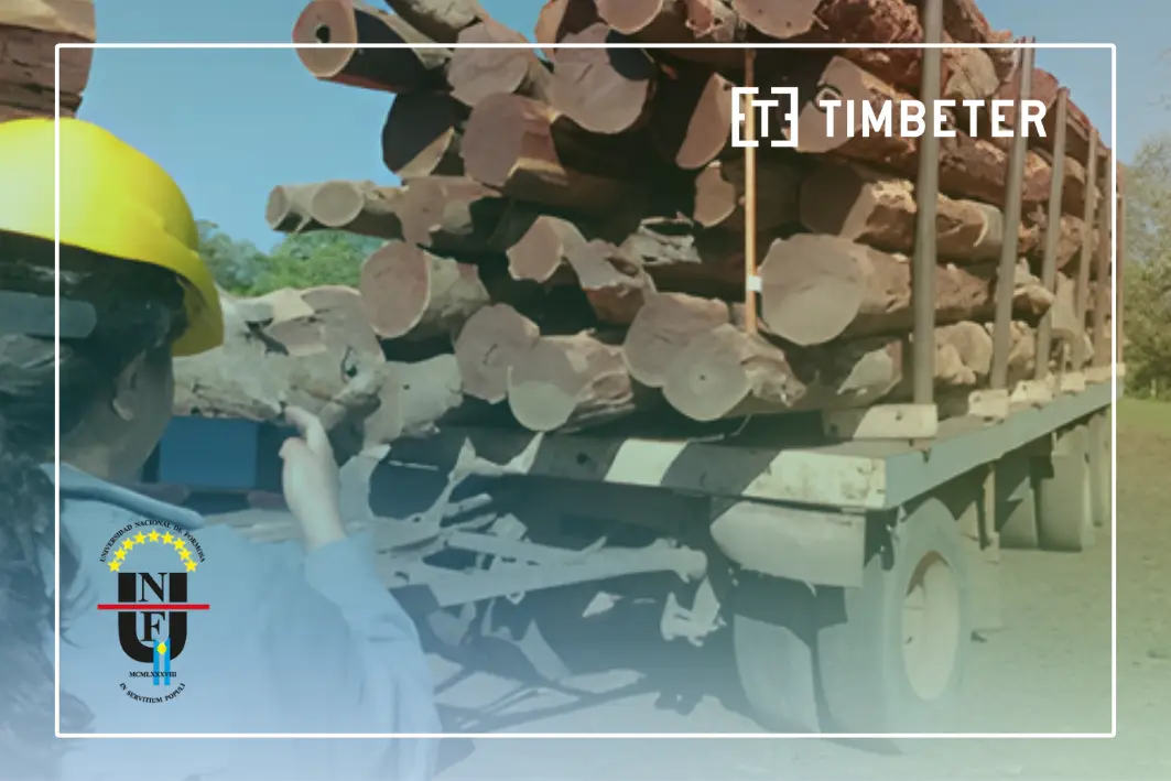 How AI Log Pile Measurement Speeds Up the Log Yard: Lessons from Quebracho Colorado Fieldwork