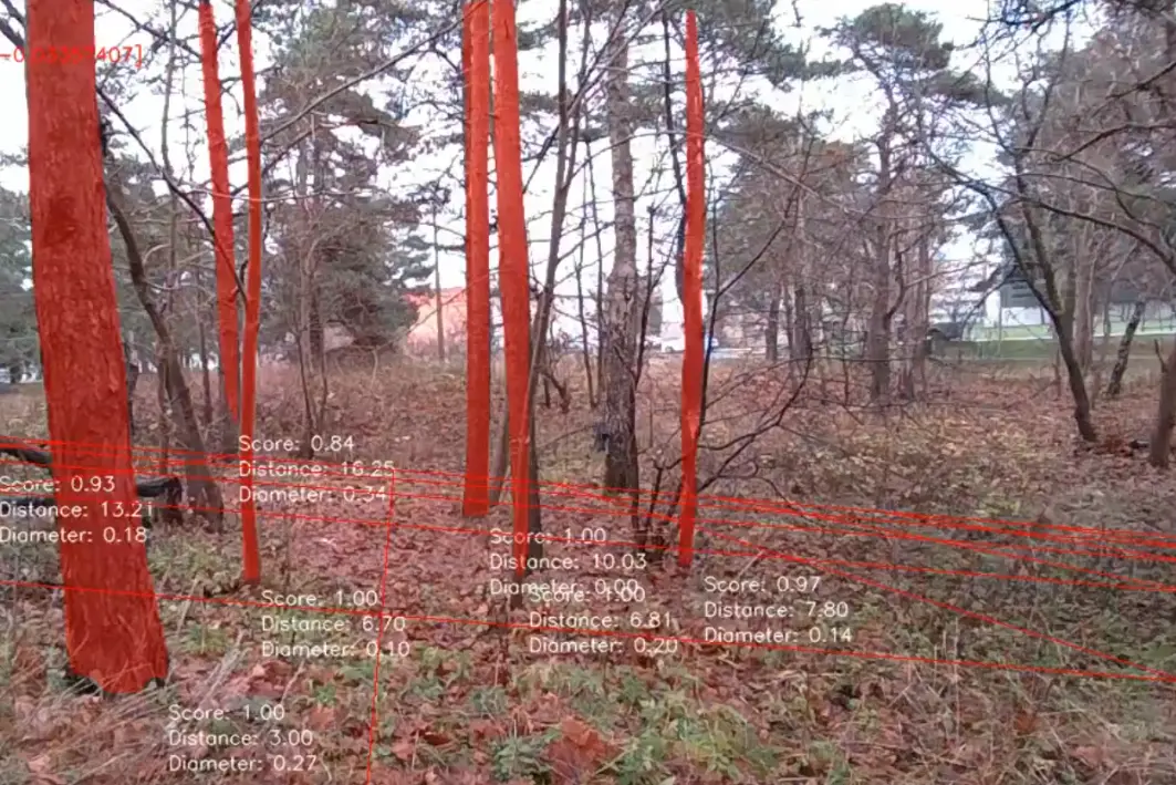 Timbeter at COP30: Supporting forest transparency through practical digital tools