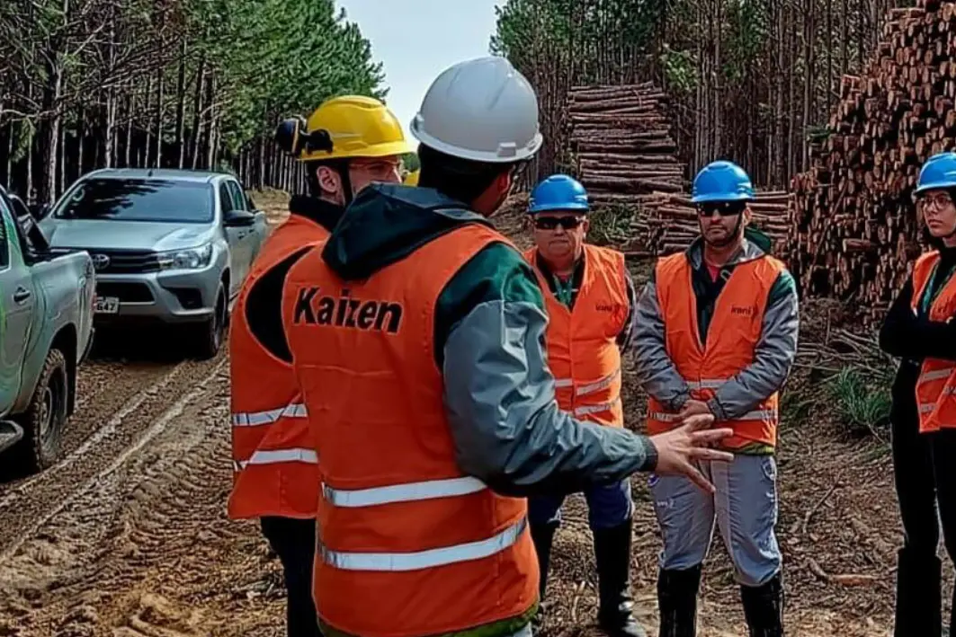 Tuvimos una entrevista con Angelo Victor, Coordinador de Producción Forestal de la empresa Irani