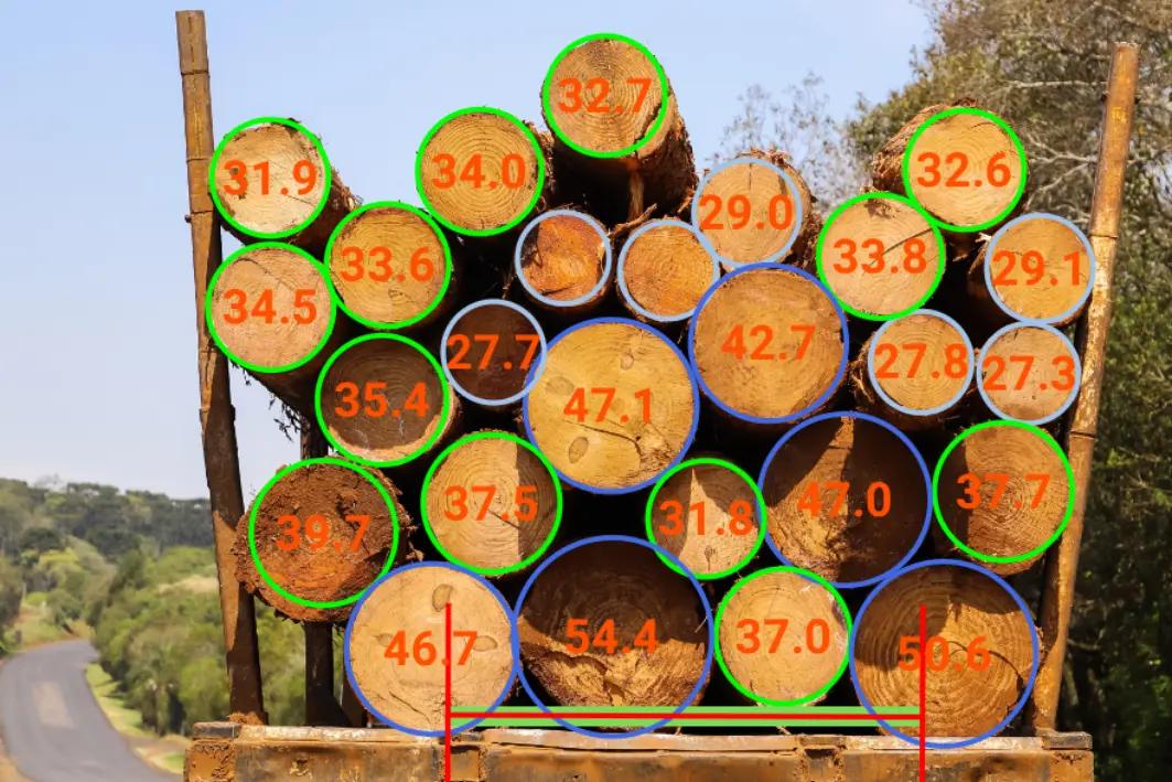 Diameter profiles Diameter profiles