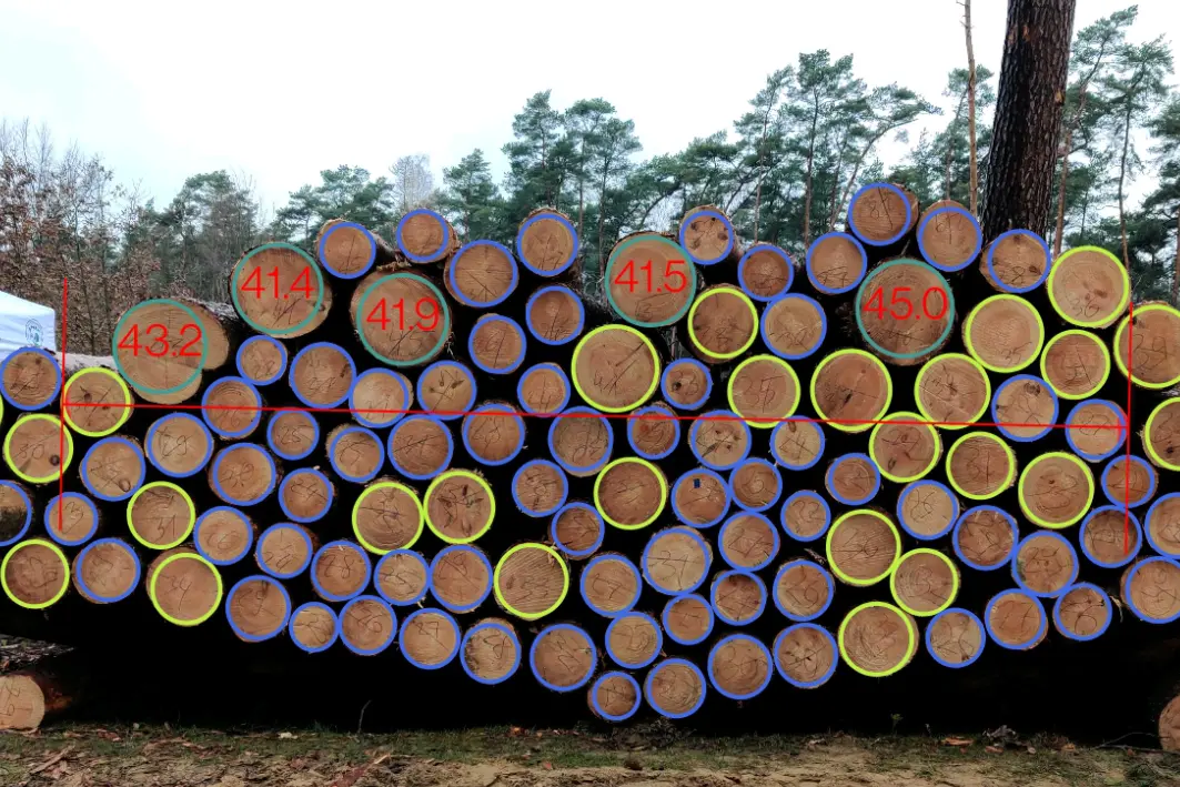 Diameter profiles Diameter profiles