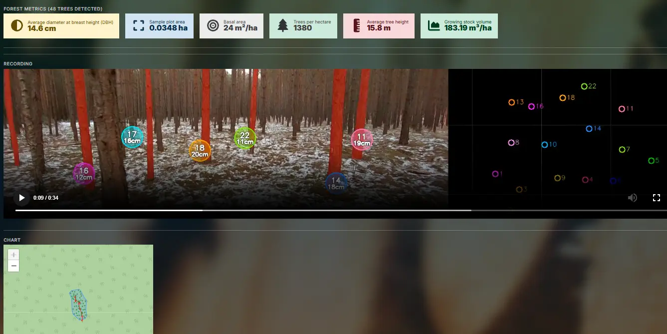 O que é o Timbeter Forest? O que é o Timbeter Forest?