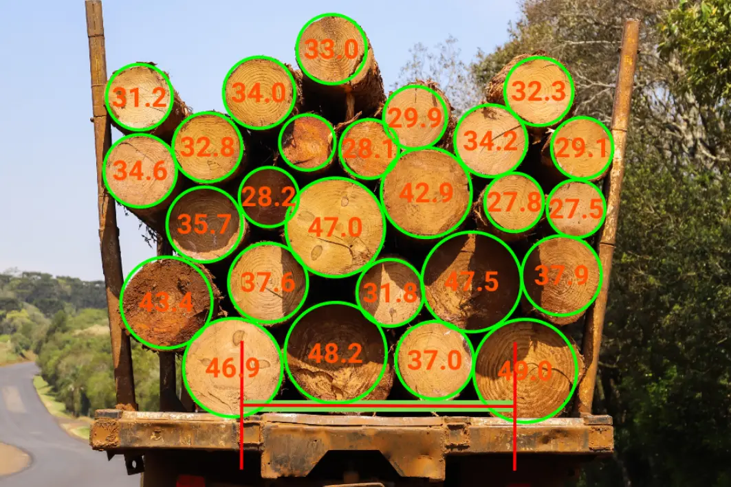 Diameter and volume measurement on arrival. Diameter and volume measurement on arrival.