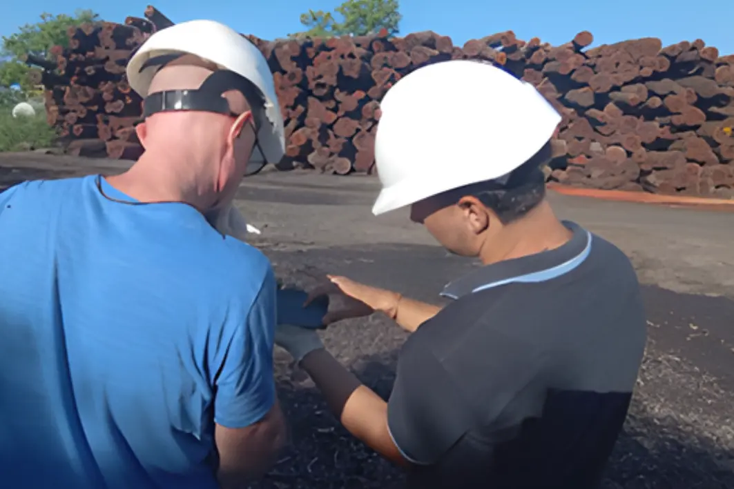 What they measured and why What they measured and why