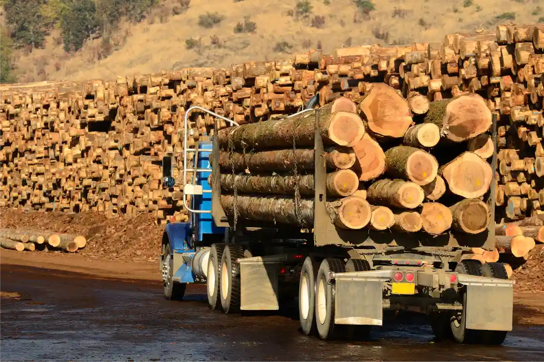 Camiones de madera y empresas de transporte